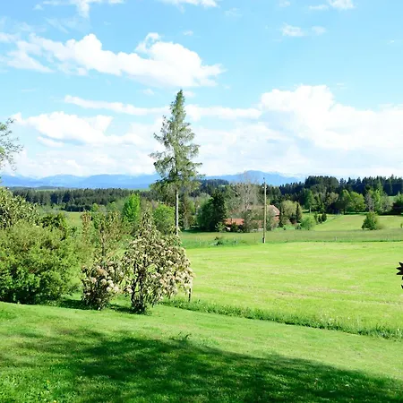 Kuh Heimat - Bergblick - Terrasse