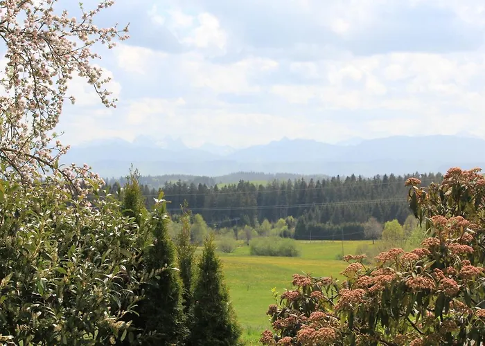 Kuh Heimat - Bergblick - Terrasse