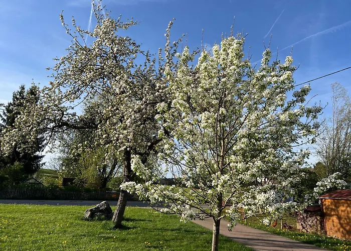 Daire Kuh Heimat - Bergblick - Terrasse Buchenberg (Bavaria)
