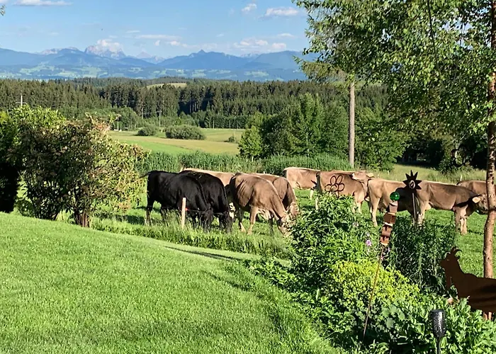 Lägenhet Kuh Heimat - Bergblick - Terrasse *