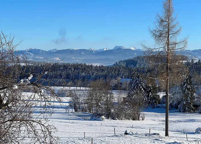 Kuh Heimat - Bergblick - Terrasse