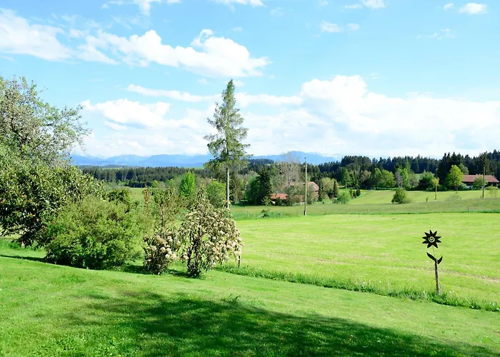 Kuh Heimat - Bergblick - Terrasse