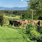 Lejlighed Kuh Heimat - Bergblick - Terrasse *