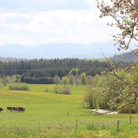 Appartement Kuh Heimat - Bergblick - Terrasse *