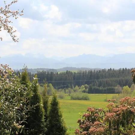 Kuh Heimat - Bergblick - Terrasse