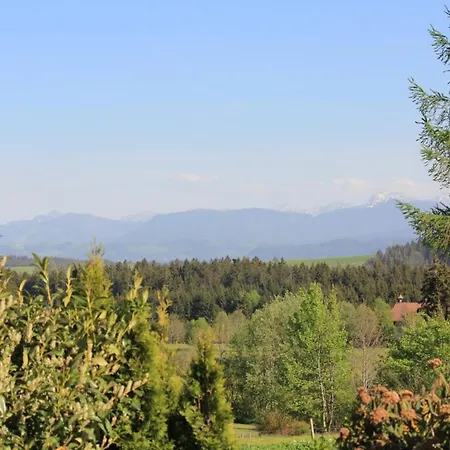 Appartement Kuh Heimat - Bergblick - Terrasse