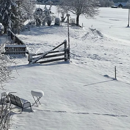 Appartement Kuh Heimat - Bergblick - Terrasse Buchenberg (Bavaria)