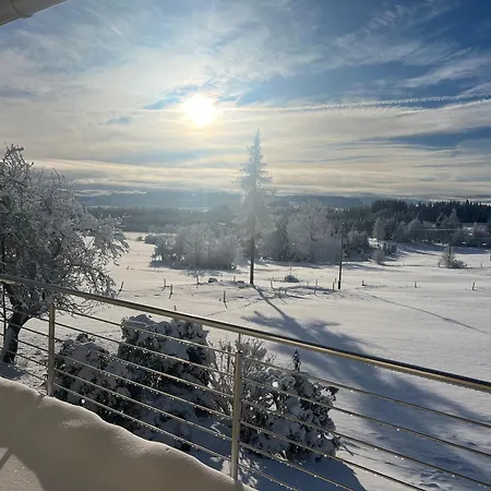 Kuh Heimat - Bergblick - Terrasse Buchenberg (Bavaria)