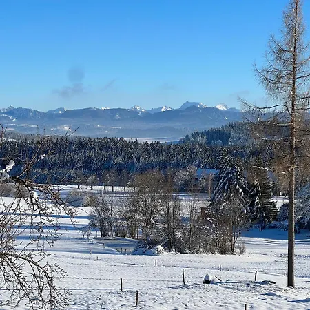 Kuh Heimat - Bergblick - Terrasse